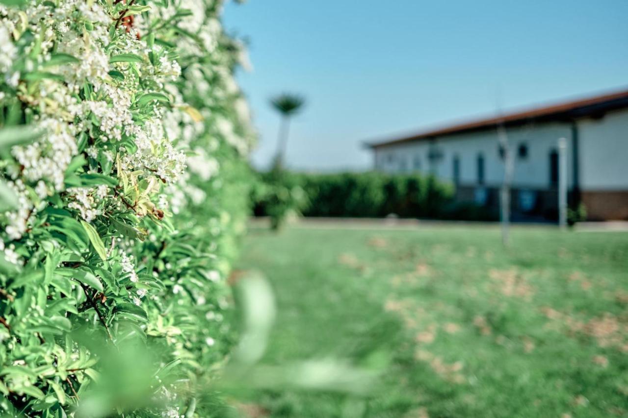 La Massaria Agriresort Orta Nova Dış mekan fotoğraf