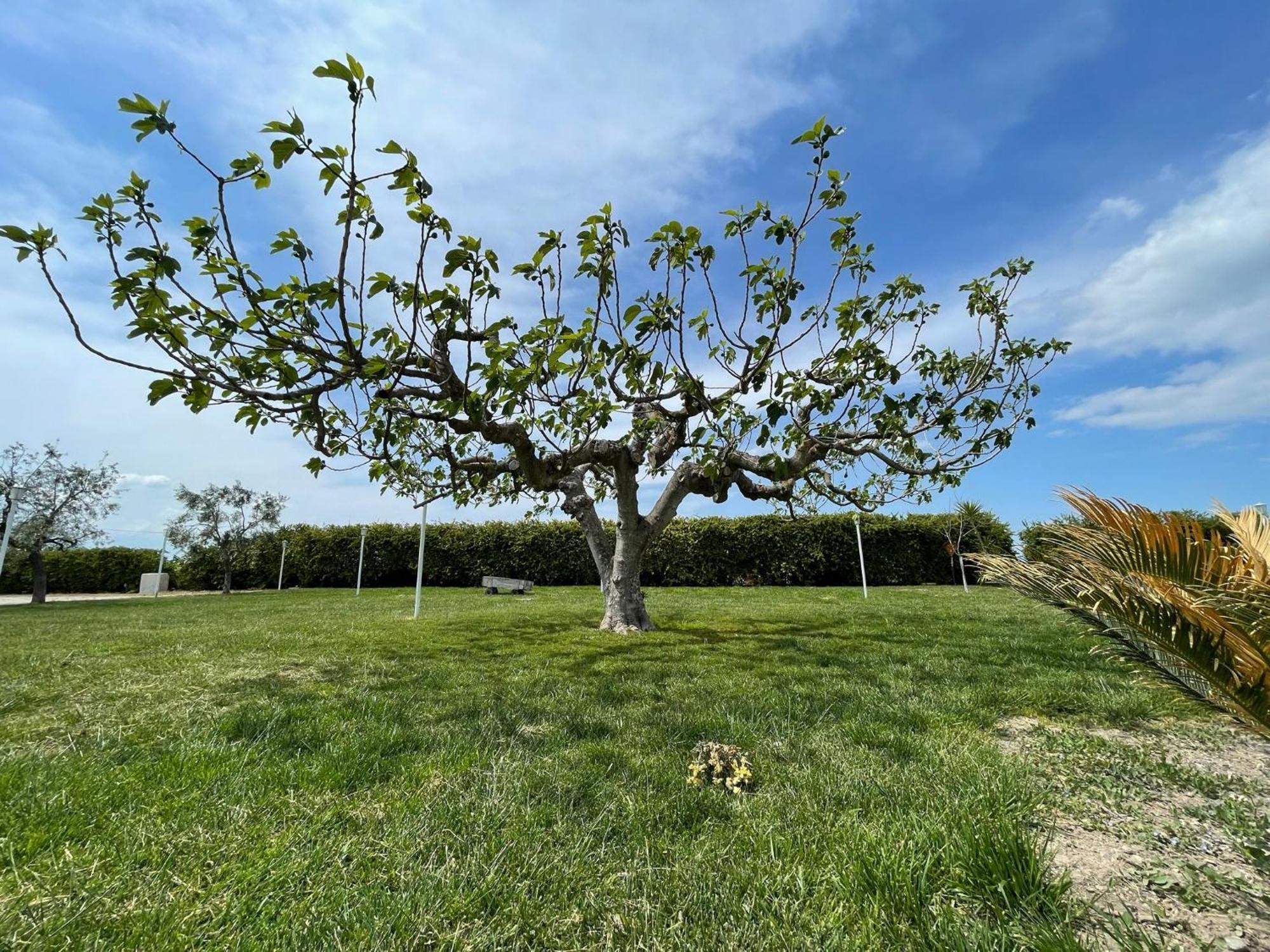 La Massaria Agriresort Orta Nova Dış mekan fotoğraf