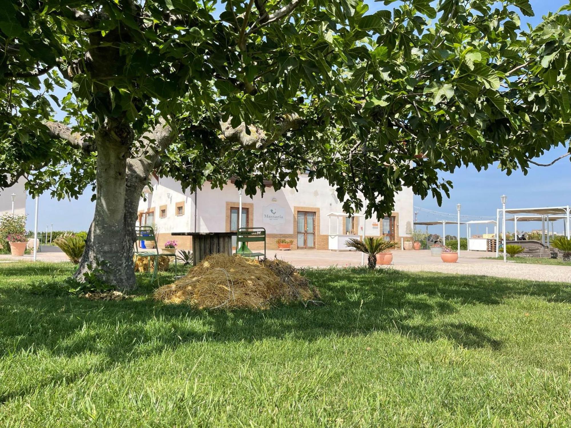 La Massaria Agriresort Orta Nova Dış mekan fotoğraf