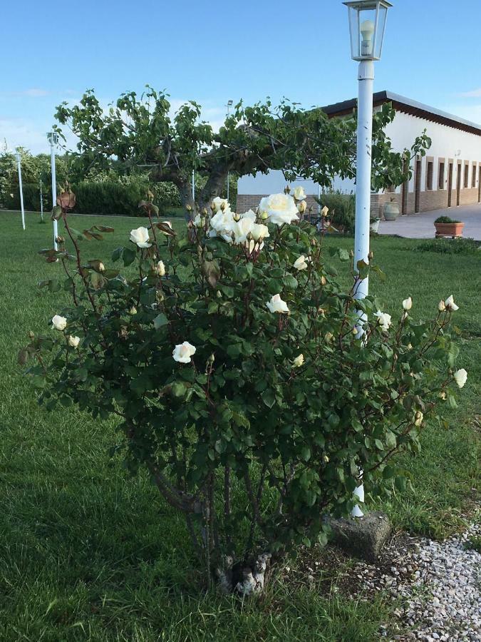 La Massaria Agriresort Orta Nova Dış mekan fotoğraf