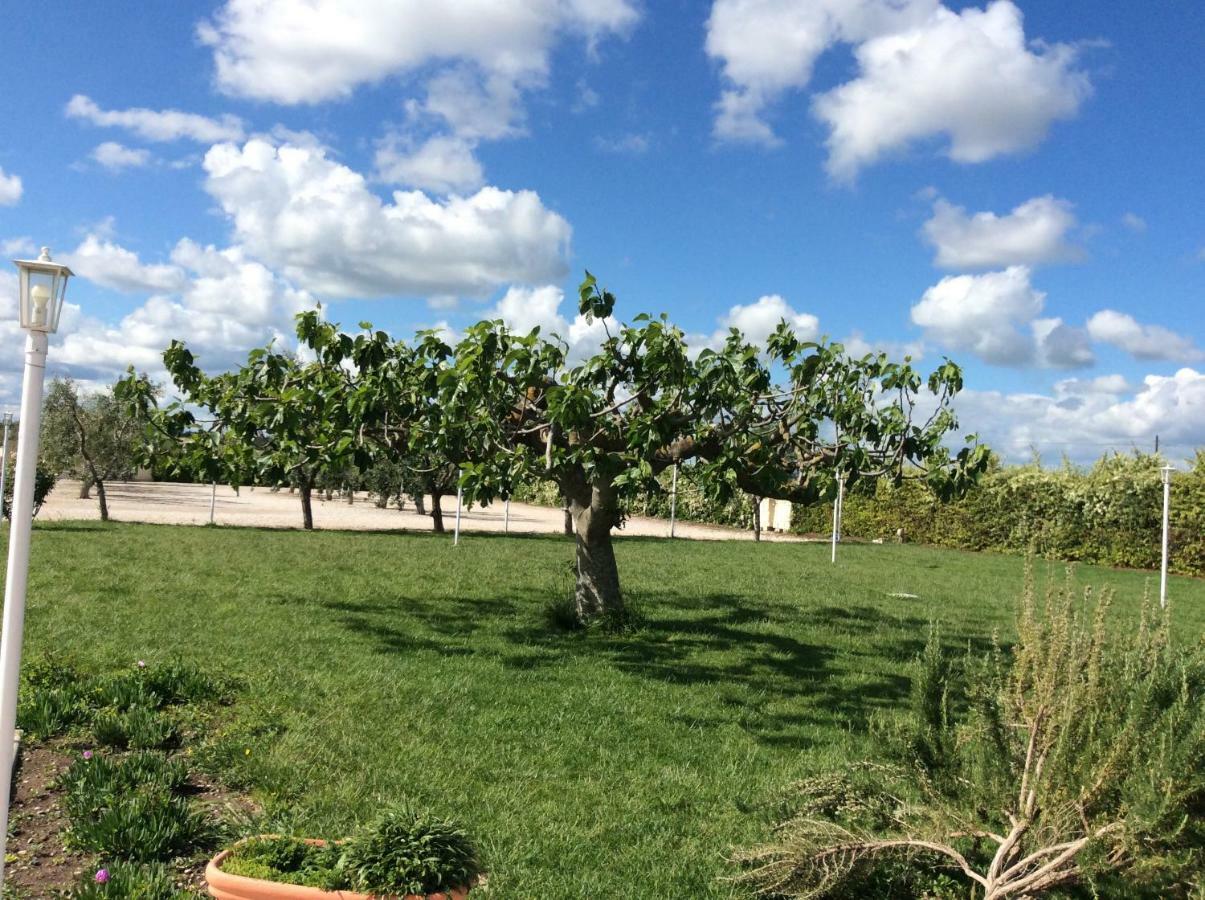 La Massaria Agriresort Orta Nova Dış mekan fotoğraf